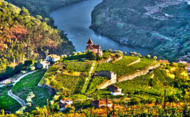 Portugal com Estilo - Cultura & Vinho